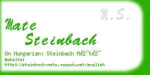 mate steinbach business card